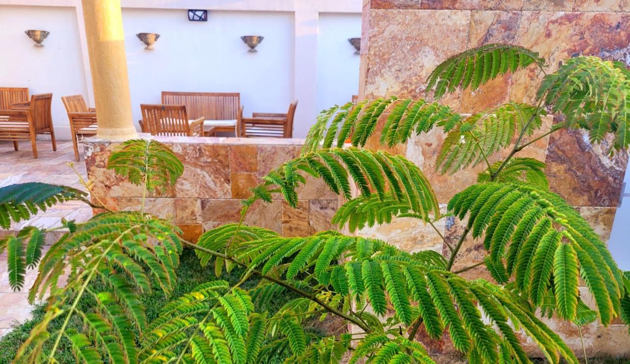 فندق Helios سولينا المظهر الخارجي الصورة